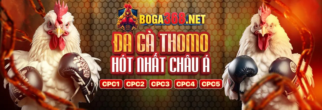 Hình ảnh chính blog 7clubs với các trò chơi cá cược trực tuyến và ưu đãi hấp dẫn